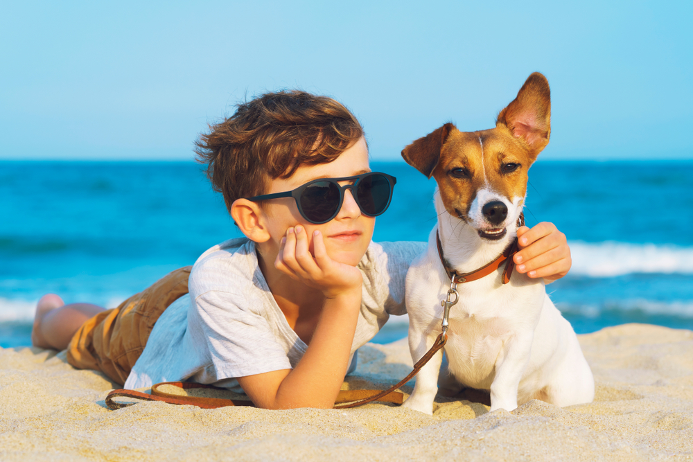 A child and a dog together on the sand at Fort Morgan beach